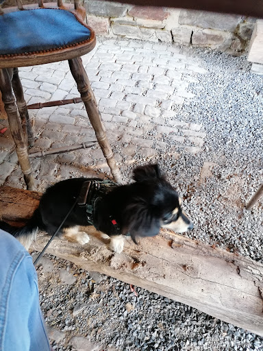 Hundesalon Zauberpfote Inh. Nina Hümbert unter Utscheid, 