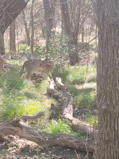 Park «McAllister Park», reviews and photos, 13102 Jones Maltsberger Rd, San Antonio, TX 78247, USA