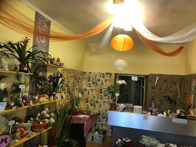 Értékelések erről a helyről: Virág és ajándékbolt, Rákócziújfalu - Virágárus