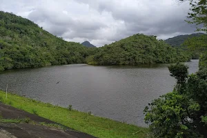 Duas Bocas Biological Reserve image