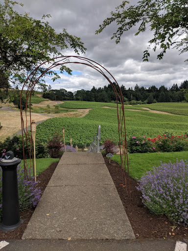 Winery «Elk Cove Vineyards», reviews and photos, 27751 NW Olson Rd, Gaston, OR 97119, USA