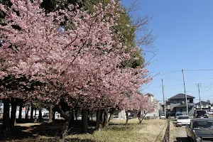 Koizumihikawayama Park image