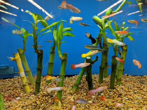 Pet Supply Store «Petco Animal Supplies», reviews and photos, 1111 US-46, Parsippany, NJ 07054, USA