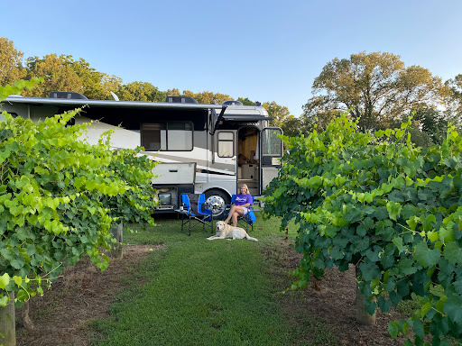 Winery «Century Farm Winery», reviews and photos, 1548 Lower Brownsville Rd, Jackson, TN 38301, USA