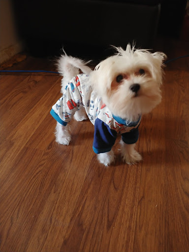 Pet Supply Store «PetSmart», reviews and photos, 60 NJ-17, Paramus, NJ 07652, USA