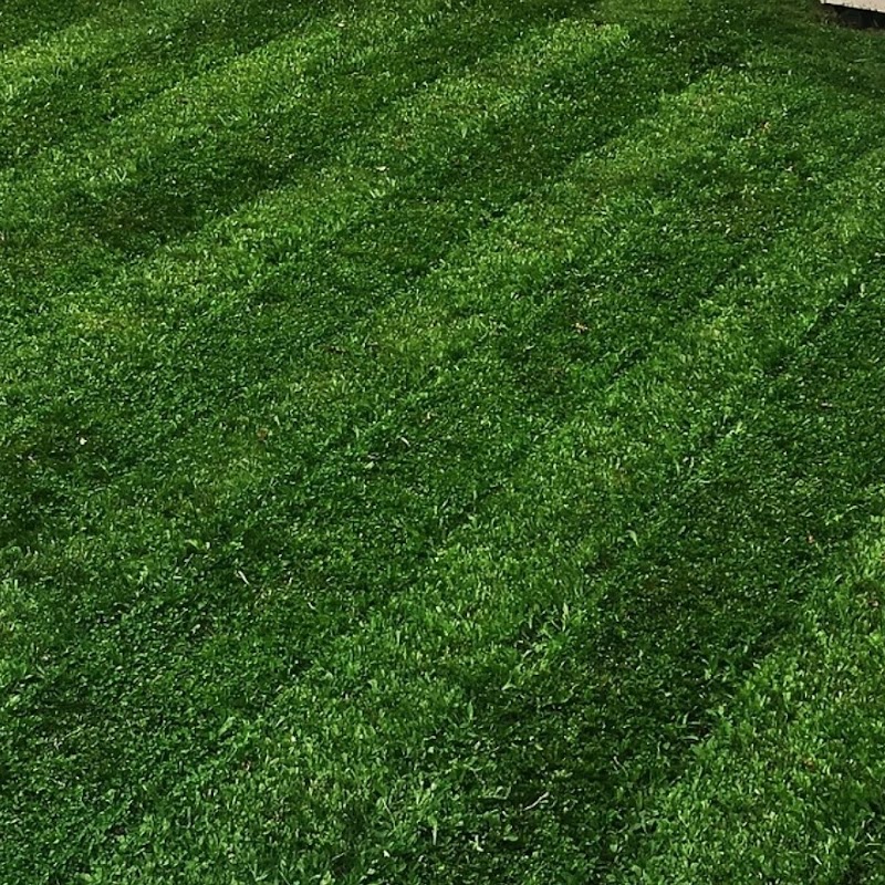 We Cut Grass