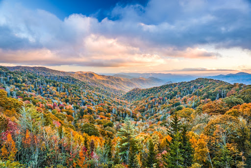 National Park «Great Smoky Mountains National Park», reviews and photos