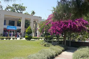 Turkish Education Application and Research Center image