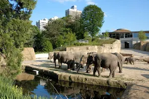 Cologne Zoological Garden image