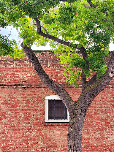 Florist «Mills the Florist», reviews and photos, 235 University Ave, Palo Alto, CA 94301, USA