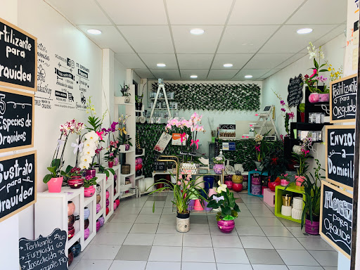 OrquideaShop