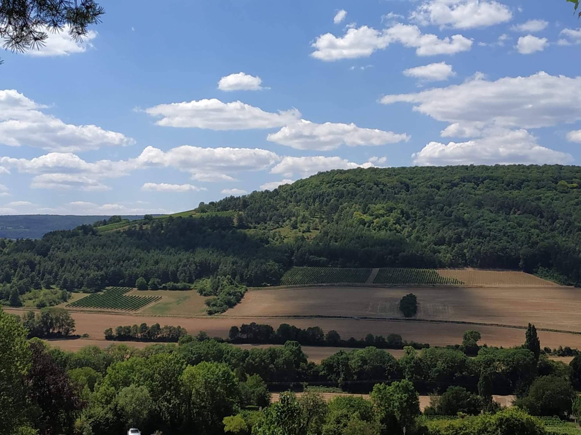 Photo n° 5 de l'avis de yann.a fait le 20/08/2020 à 07:11