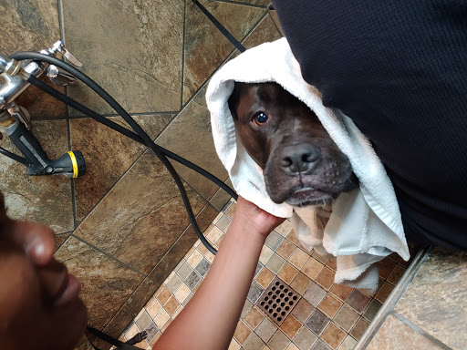 Pet Supply Store «Pet Valu», reviews and photos, 5007 Honeygo Center Dr, Perry Hall, MD 21128, USA