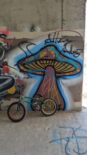 Bicycle Repair Shop «Criterium Bicycles», reviews and photos, 6150 Corporate Dr, Colorado Springs, CO 80919, USA