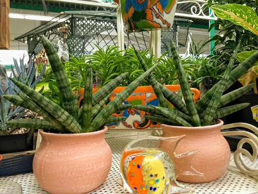 Hardware Store «Ace Hardware», reviews and photos, 4816 Point Fosdick Dr NW, Gig Harbor, WA 98335, USA