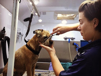 Lovemud mobile dog grooming