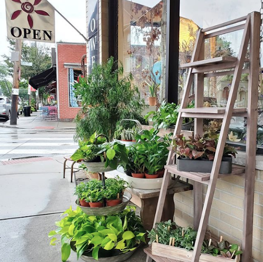 Florist «Providence Florist - Blooming Blossoms», reviews and photos, 780 Hope St, Providence, RI 02906, USA