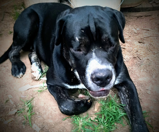 Hair Salon «Cost Cutters», reviews and photos, 517 W Avalon Ave, Muscle Shoals, AL 35661, USA