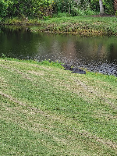 Golf Club «Turtle Creek Golf Club», reviews and photos, 1278 Admiralty Blvd, Rockledge, FL 32955, USA