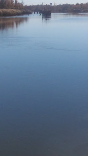 Bar & Grill «Firestone Roasting House», reviews and photos, 110 West St, Wilmington, DE 19801, USA