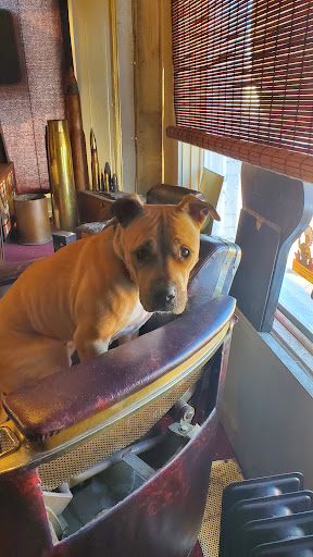 Cigar Shop «Dirty Dog Cigar Shoppe», reviews and photos, 4601 Walnut St, McKeesport, PA 15132, USA