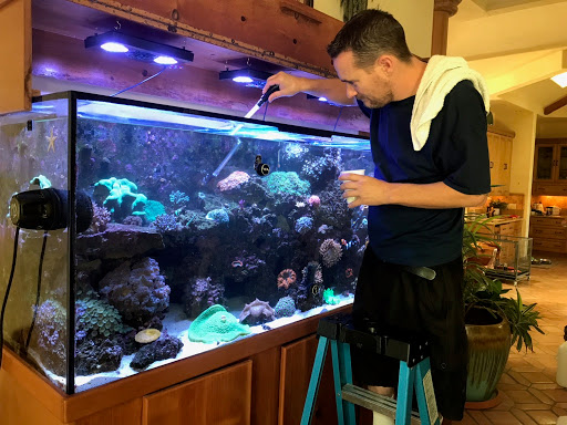 Living Art Aquarium Service