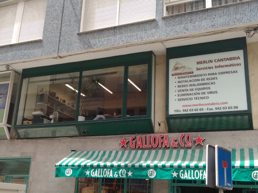 Merlín Cantabria en Santander, Cantabria