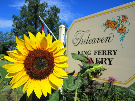 Winery «Treleaven Wines», reviews and photos, 658 Lake Rd, King Ferry, NY 13081, USA