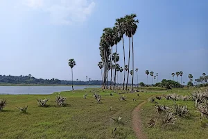 Kambalathara Vengalakkayam Reservoirs image