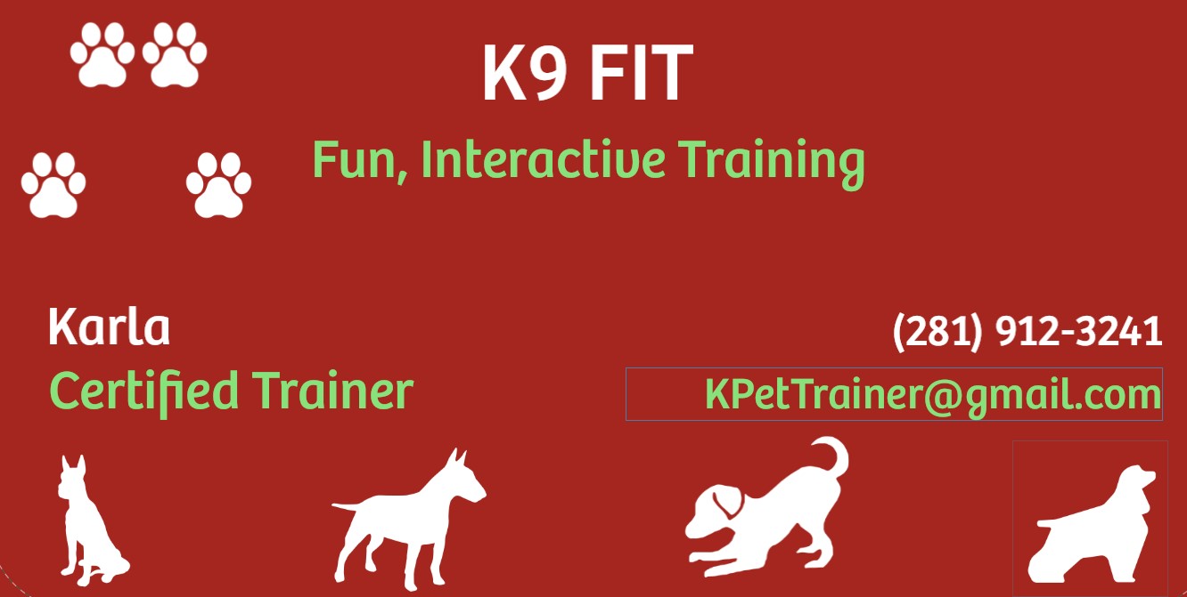 K9 FIT - Fun Interactive Training