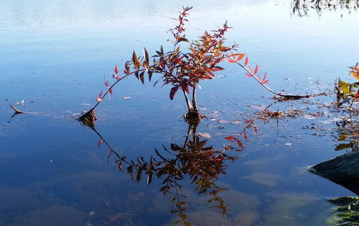 Park «Cushing Memorial Park», reviews and photos, 80 Dudley Rd, Framingham, MA 01702, USA