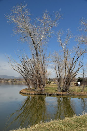 Park «Lake Arbor Park», reviews and photos, 6450 Pomona Dr, Arvada, CO 80003, USA