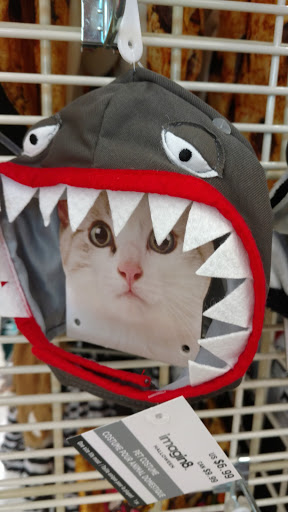 Craft Store «Michaels», reviews and photos, 2384 E 79th Ave, Merrillville, IN 46410, USA