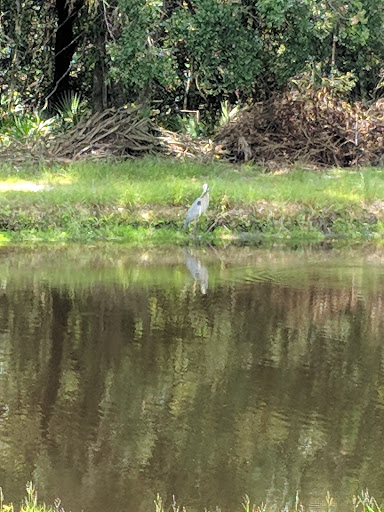 Golf Club «Westchase Golf Club», reviews and photos, 11602 Westchase Golf Dr, Tampa, FL 33626, USA