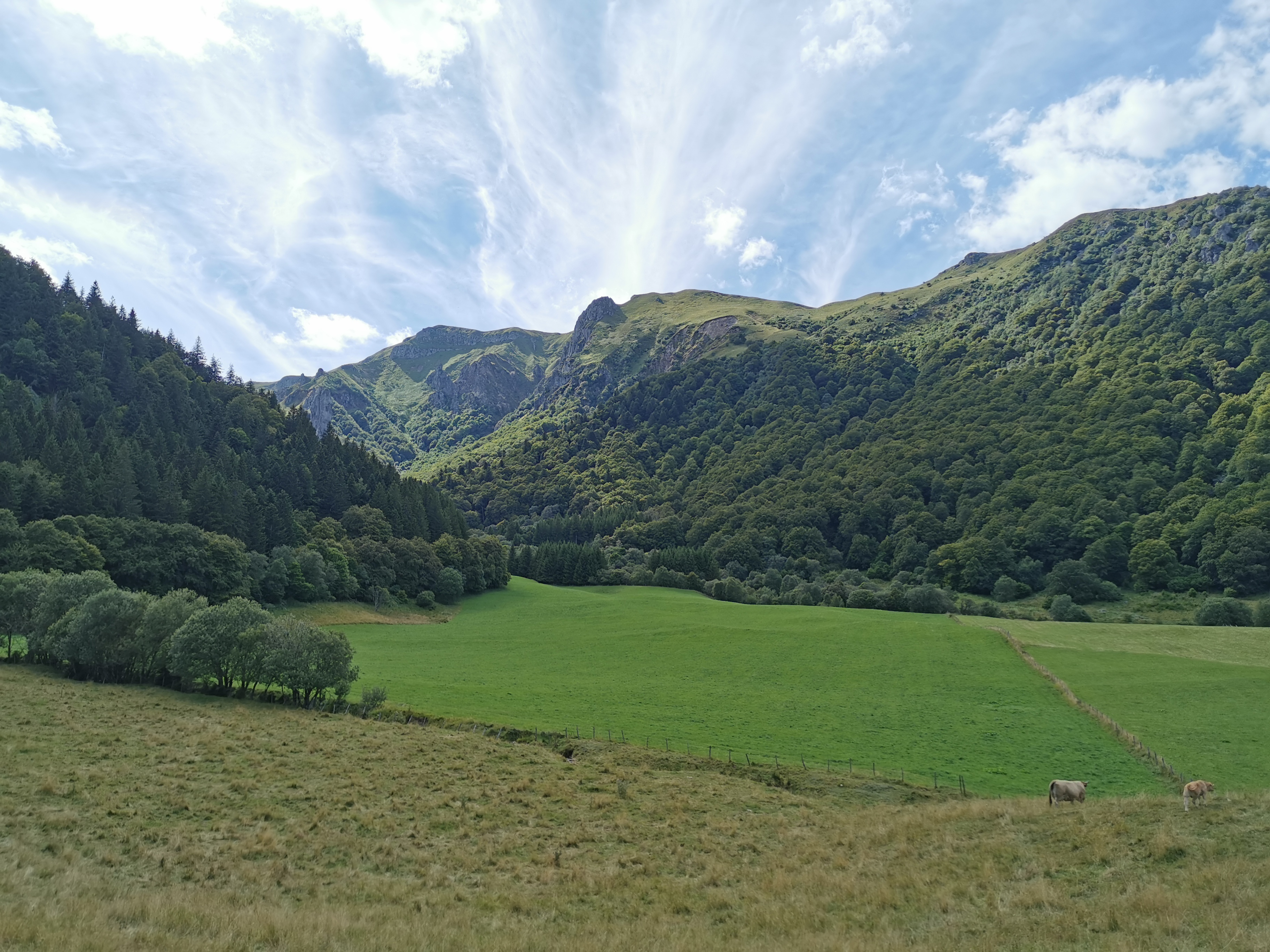 Photo n° 4 de l'avis de Aurélien.a fait le 09/08/2023 à 11:35
