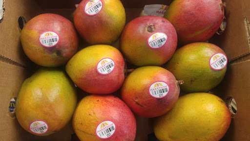 Indian Grocery Store «EZ Indian Grocery Store», reviews and photos, 12 Walnut St, Woburn, MA 01801, USA