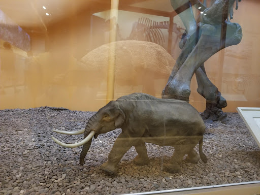 Natural History Museum «Yale Peabody Museum of Natural History», reviews and photos, 170 Whitney Ave, New Haven, CT 06511, USA