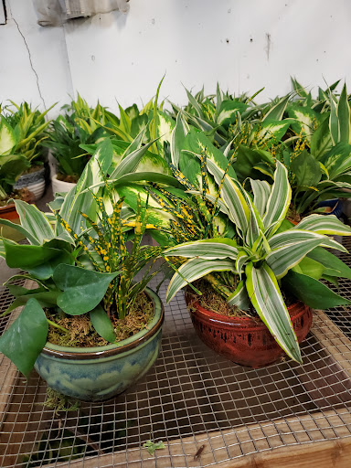 Florist «Sieck-Wright Floral Products», reviews and photos, 231 Monmouth St, Hightstown, NJ 08520, USA