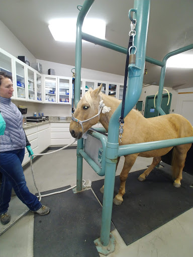 Bend Equine Medical Center image