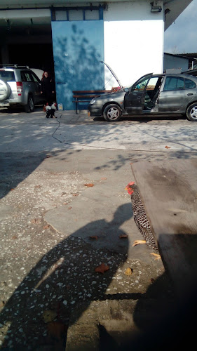 Σάββας AUTO ELECTRO CENTER - Συνεργείο αυτοκινήτου