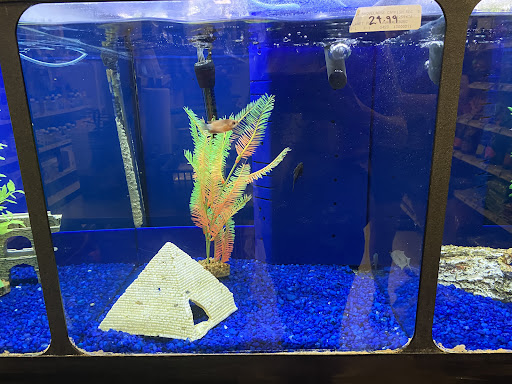 Pet Store «Planet Pet», reviews and photos, 1093 W Eads Pkwy, Lawrenceburg, IN 47025, USA