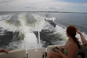 Cape Coral Dolphin Tours image