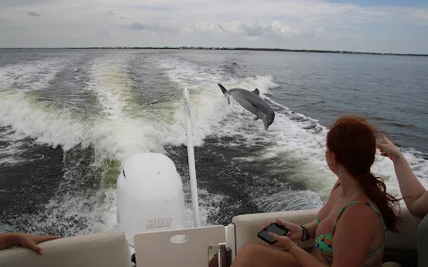 Cape Coral Dolphin Tours image