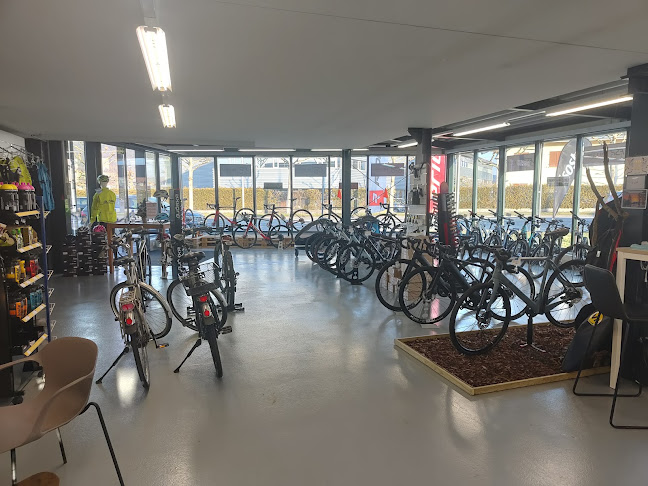 Rezensionen über FSPBikesport in Delsberg - Fahrradgeschäft