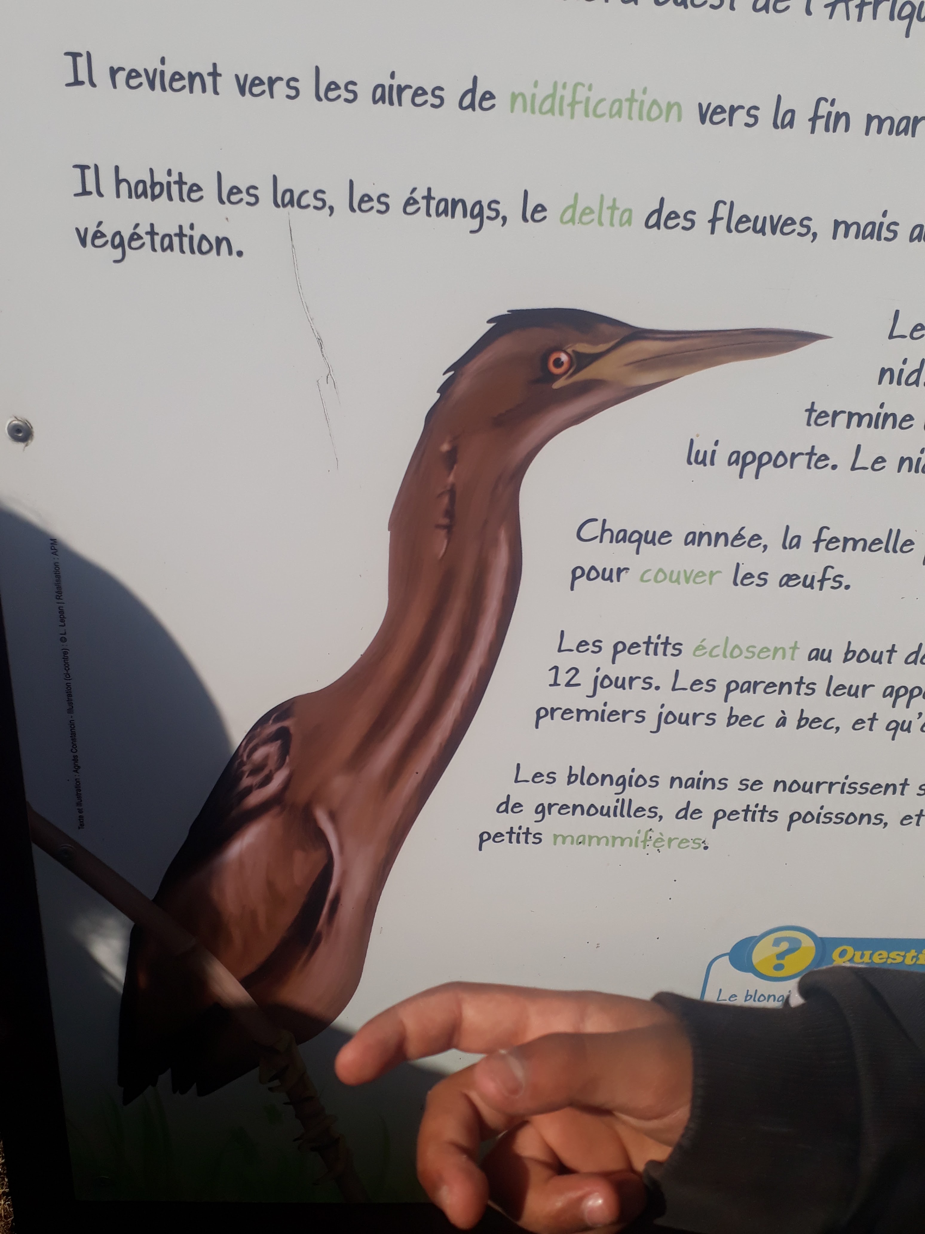 Photo n° 16 de l'avis de Karine.o fait le 13/08/2019 à 20:41
