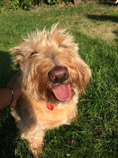 Arena «U.S. Cellular Coliseum», reviews and photos, 101 S Madison St, Bloomington, IL 61701, USA