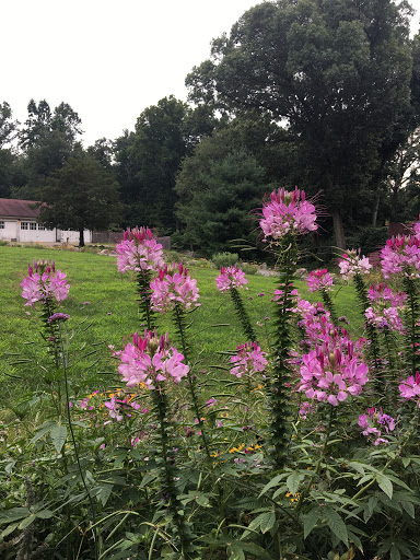 Park «Hart`s Brook Park and Preserve», reviews and photos, 156 Ridge Rd, Hartsdale, NY 10530, USA