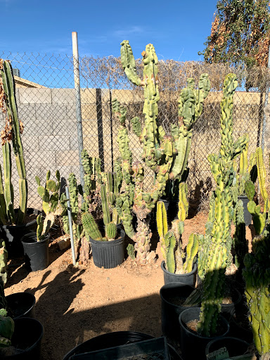 Gas Station «Circle K», reviews and photos, 12707 W Grand Ave, Surprise, AZ 85374, USA