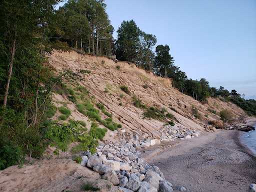 Nature Preserve «Saugatuck Harbor Natural Area», reviews and photos, Oval Dr, Saugatuck, MI 49453, USA