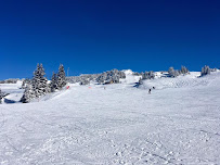 Photos du propriétaire du Restaurant de fondues La Taverne du Gaulois à Chamrousse - n°4